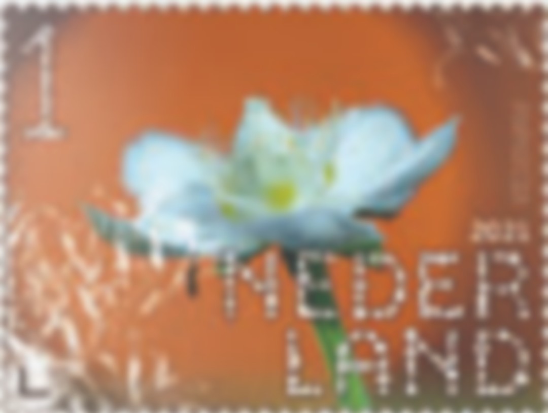 geen foto beschikbaar,daarom een senior met de duimen omhoog op de foto