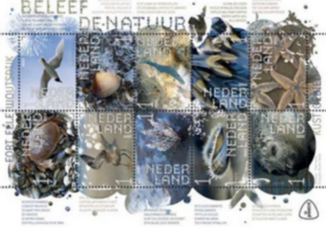 geen foto beschikbaar,daarom een senior met de duimen omhoog op de foto