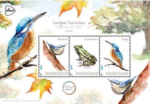 geen foto beschikbaar,daarom een senior met de duimen omhoog op de foto