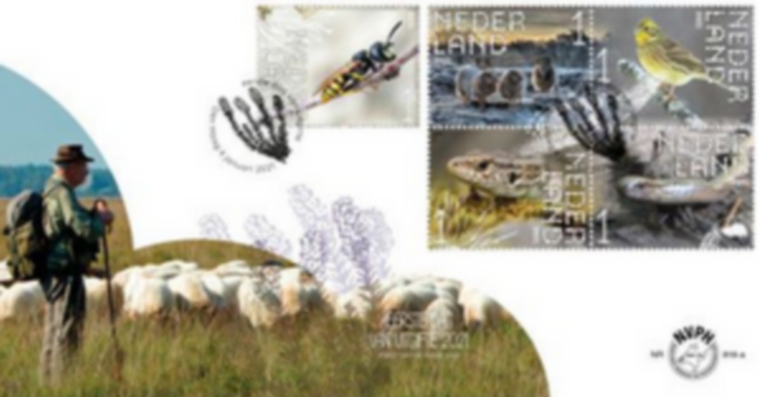 geen foto beschikbaar,daarom een senior met de duimen omhoog op de foto