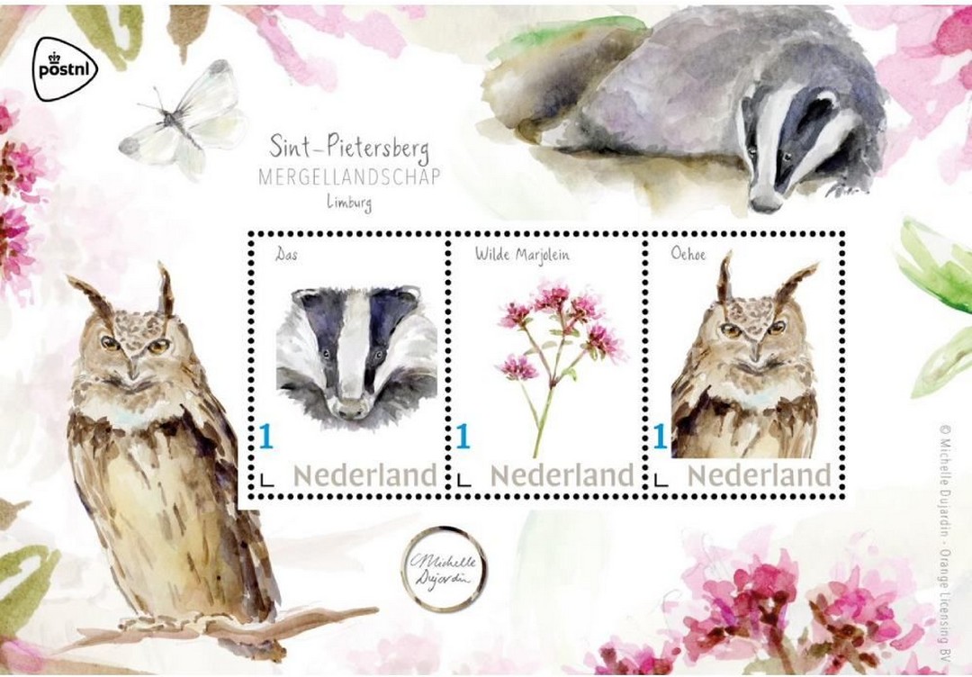 geen foto beschikbaar,daarom een senior met de duimen omhoog op de foto