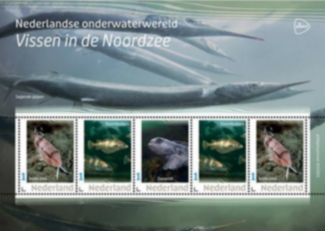 geen foto beschikbaar,daarom een senior met de duimen omhoog op de foto