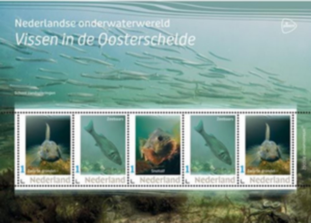 geen foto beschikbaar,daarom een senior met de duimen omhoog op de foto