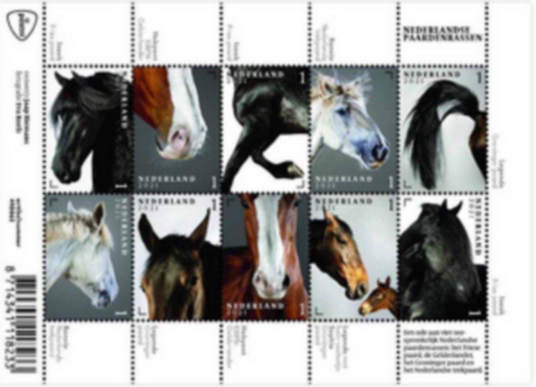 geen foto beschikbaar,daarom een senior met de duimen omhoog op de foto