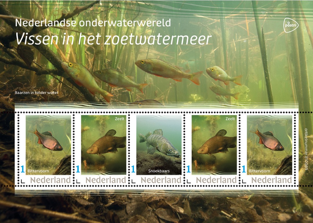 geen foto beschikbaar,daarom een senior met de duimen omhoog op de foto